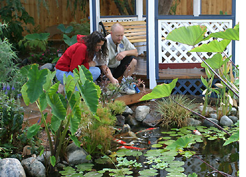 Water garden Koi pond tour