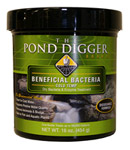 Cold Temperature Bacteria
