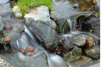 Tranquility Pond Tour