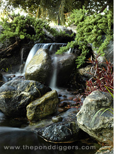 Backyard Waterfall Triplett