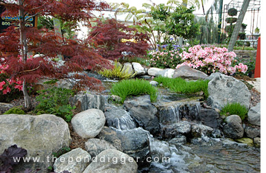 Leroy's Landscape Services, Yucaipa California