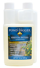Liquid Bacteria