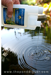 treating pond water naturaly with water treatments
